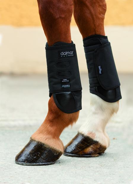 Dalmar eventing boots hotsell