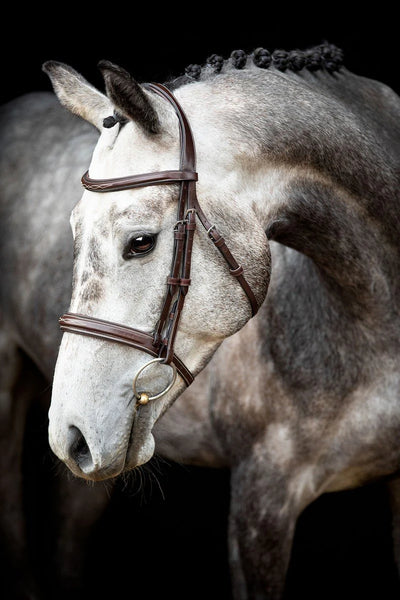 Montar Hunter Bridle