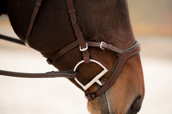 KL Select Tucson Bridle