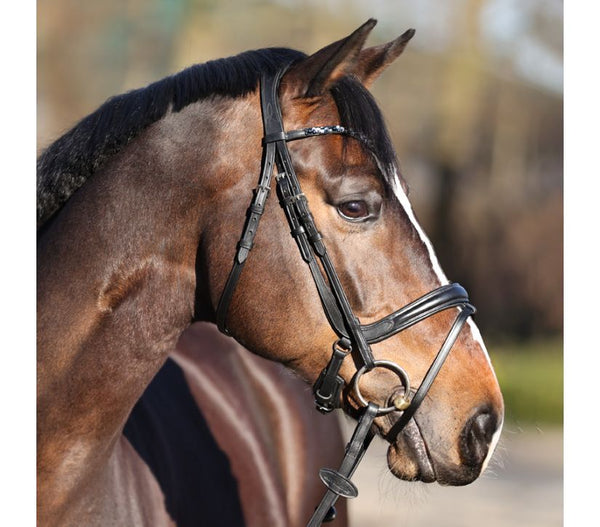 Kavalkade Ivette Dressage Bridle