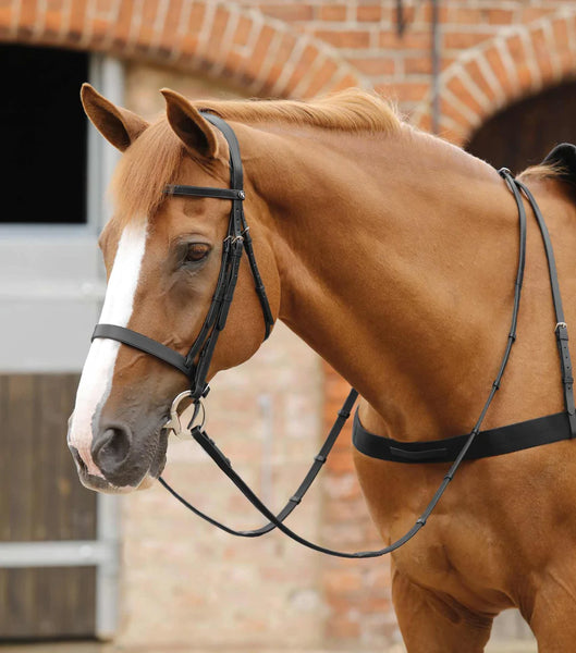 Premier Equine Salvatore Rubber and Leather Reins