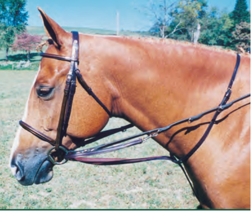 Tory Leather German Martingale