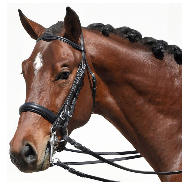 Bobby's Tack Padded Dressage Weymouth Double Bridle