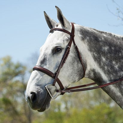 Edgewood Fancy Stitched, Raised, Padded Hunter Bridle 1"