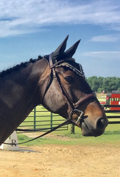 Edgewood Fancy Stitched, Raised, Padded Hunter Bridle 1"