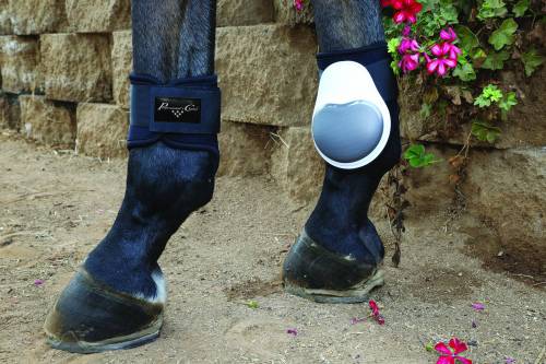 Professional's Choice Pro Performance Fetlock Boots